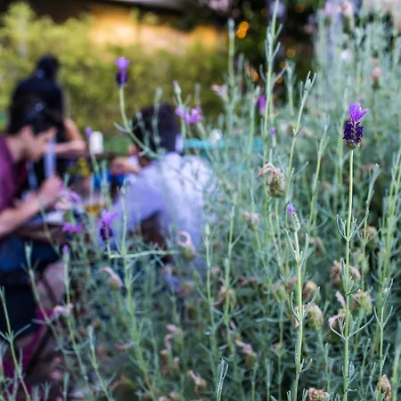 カザーリ チェゼーナ