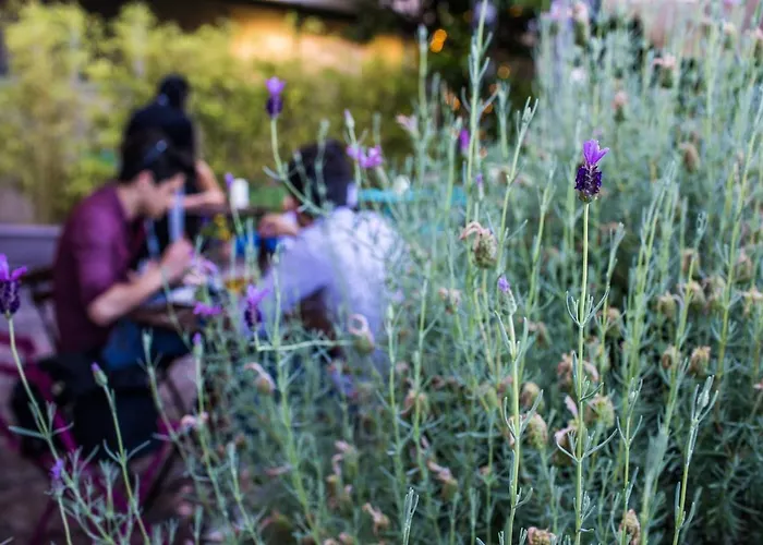 卡萨里酒店 切塞纳